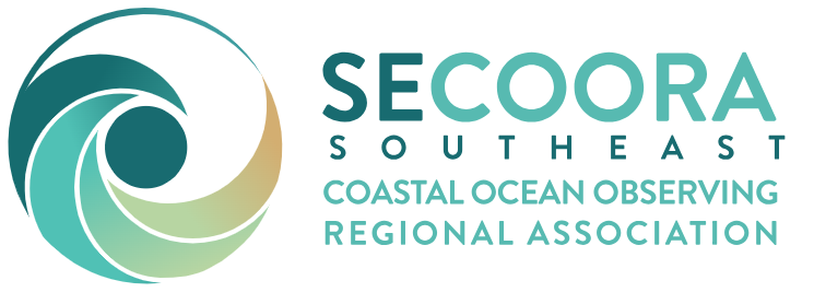 Secoora Logo